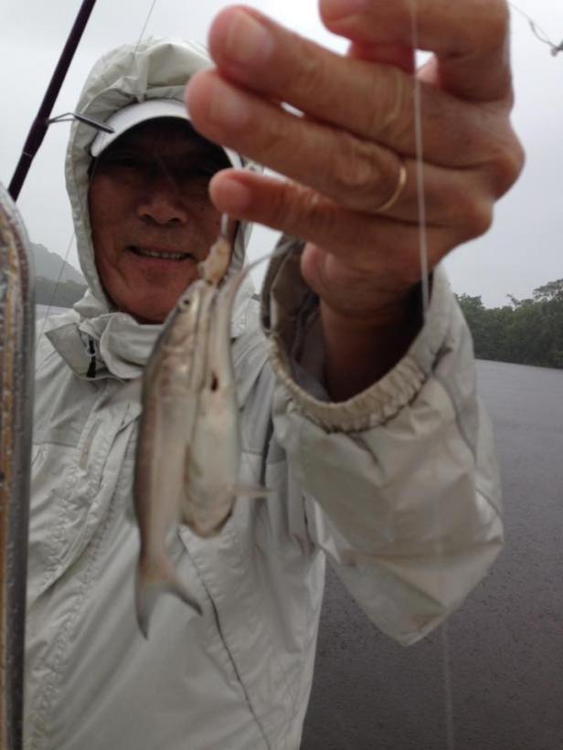 14993317_1477172548966435_4362377012501062961_n