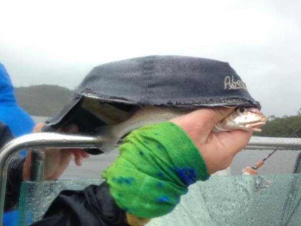 15055826_1477172575633099_3703876183151106967_n