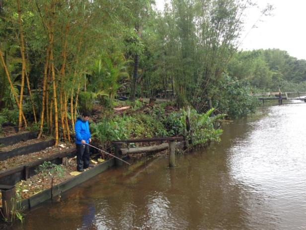 15078787_1477172442299779_6950139144291719113_n