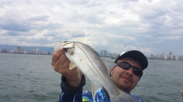 2017-11-18 13.45.21-2