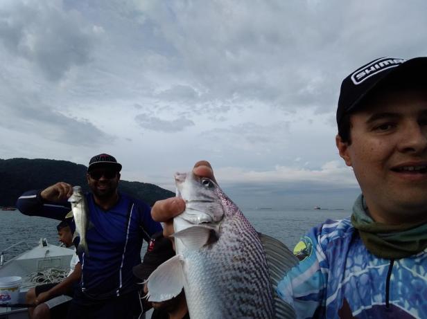 2018-05-12 08.39.34-2