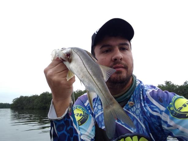 2018-06-09 11.06.23-1