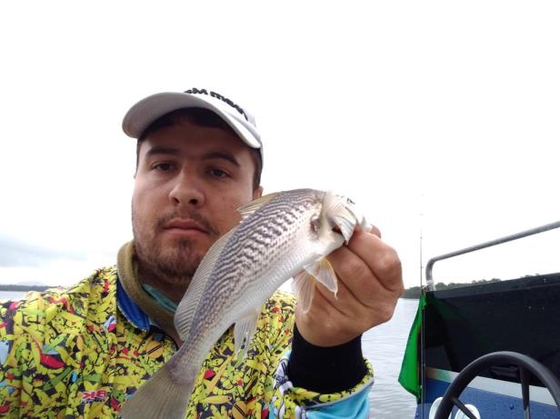 2018-08-16 09.09.39-1