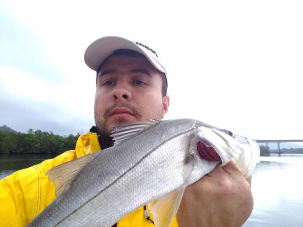 2018-08-16 14.11.08-2