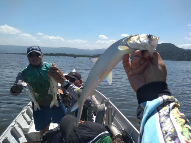 2019-03-23 12.57.26-1