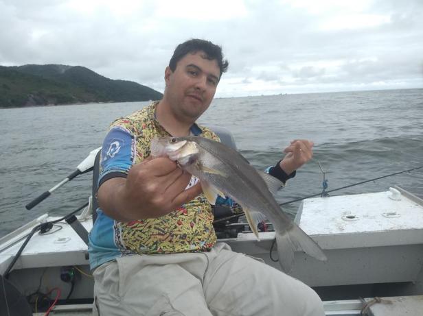 2019-06-01 10.44.10-1-2