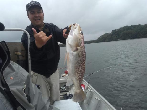 IMG_20191006_092948041