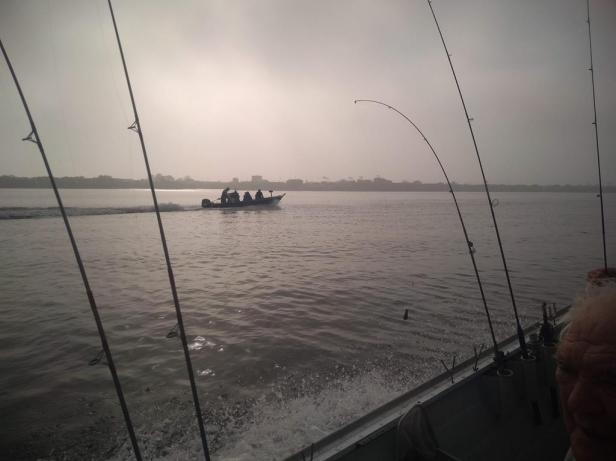 IMG_20191013_074507180