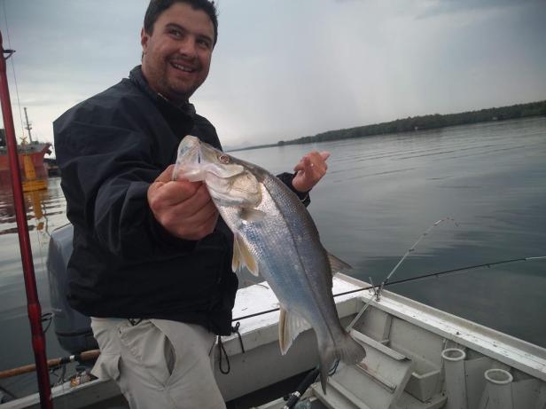 IMG_20191018_085711952