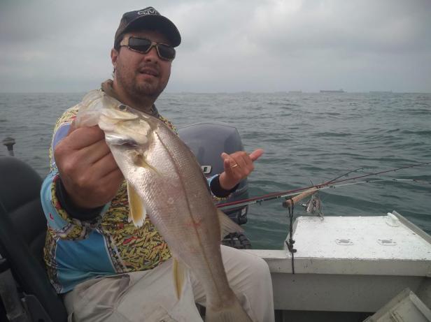 IMG_20191025_085325955