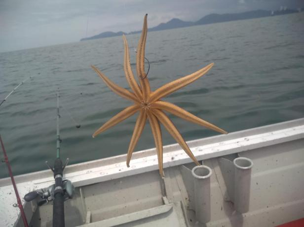 IMG_20191026_110117965