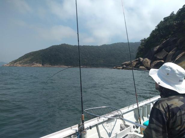 IMG_20191030_095439524