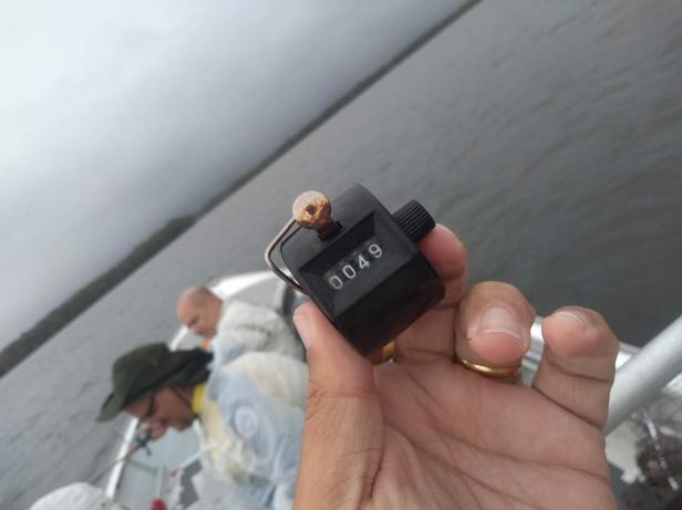 IMG_20191109_162850968