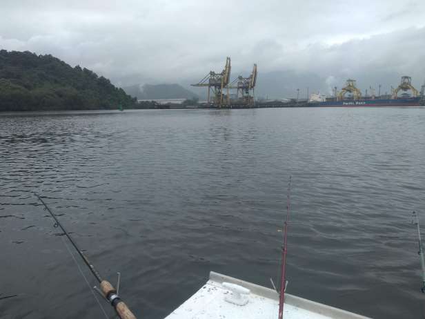 IMG_20191115_091241165