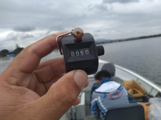 IMG_20191115_144311382