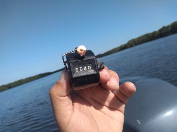 IMG_20191116_154930483