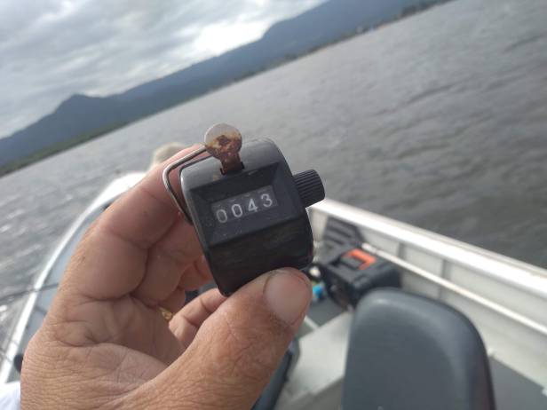 IMG_20191117_151253423