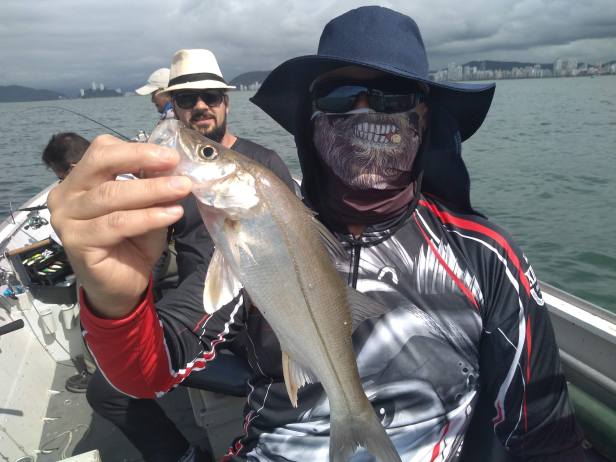 IMG_20191120_085801549