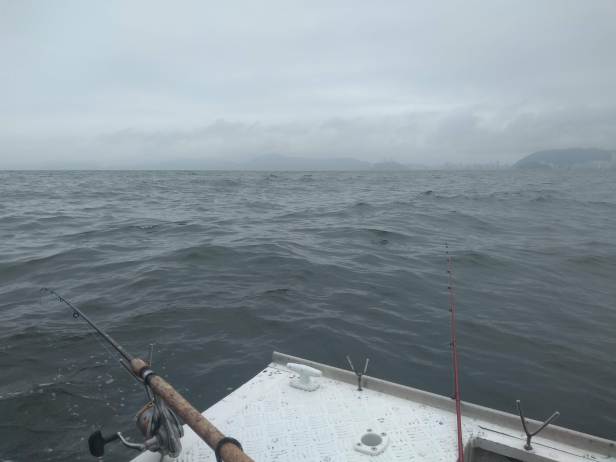 IMG_20191123_135119735