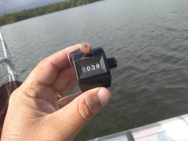 IMG_20191124_153646449